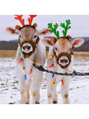 Send me a reasonable offer! Let's do this! (unless it's a handmade item😉)😊📦